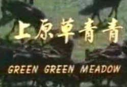 青青草原在线视频观看,青青草原在线视频精彩回顾