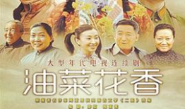 性刺激视频,感官冲击与伦理边界