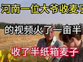 收麦视频,收麦视频背后的故事