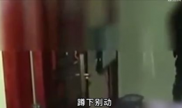 又黄又色视频,又黄又色视频的隐秘世界