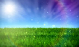 青青草原在线视频观看,青青草原在线视频精彩回顾