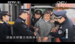 今日说法视频,揭秘真实案例背后的法律智慧